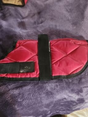 Quilted Pink Padded Dog Coat